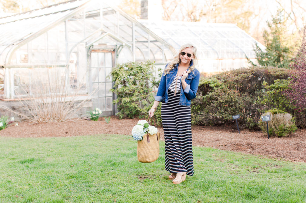 boscov's spring dresses